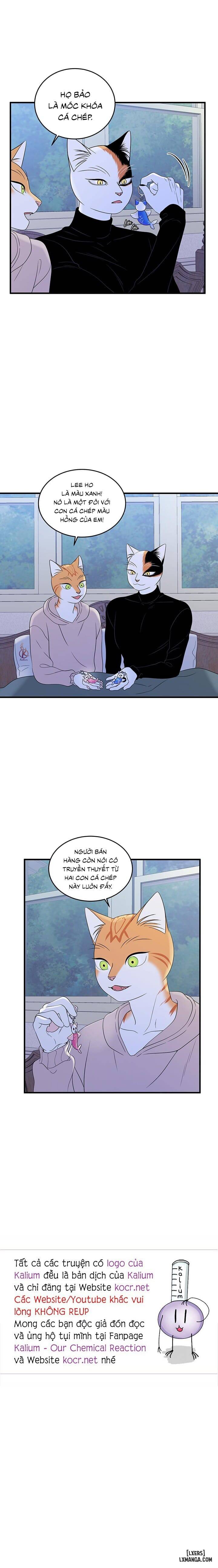 HentaiVN.net - Ảnh 17 - Dự án xanh - Chap 39