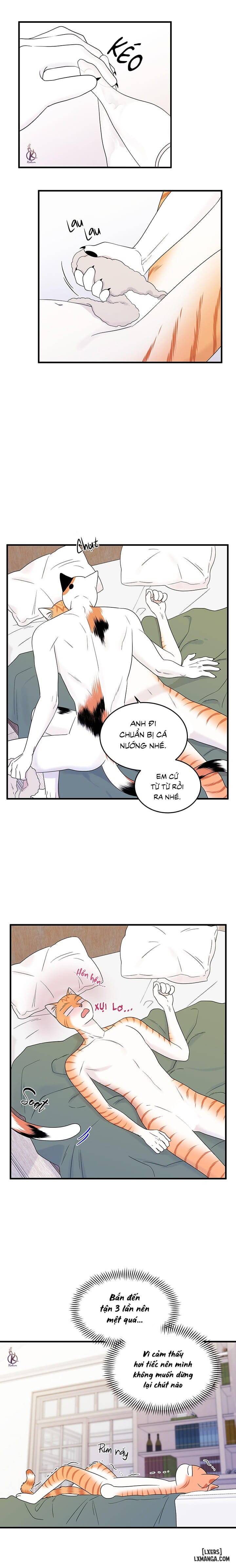 HentaiVN.net - Ảnh 3 - Dự án xanh - Chap 39