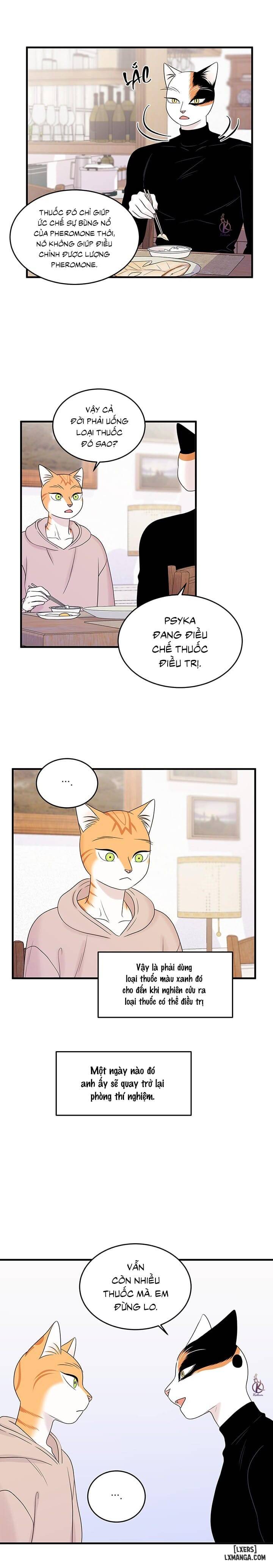 HentaiVN.net - Ảnh 7 - Dự án xanh - Chap 39
