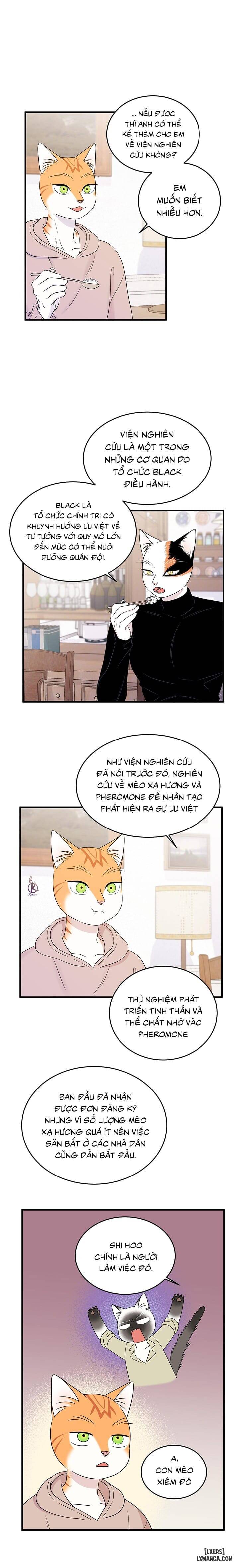 HentaiVN.net - Ảnh 8 - Dự án xanh - Chap 39