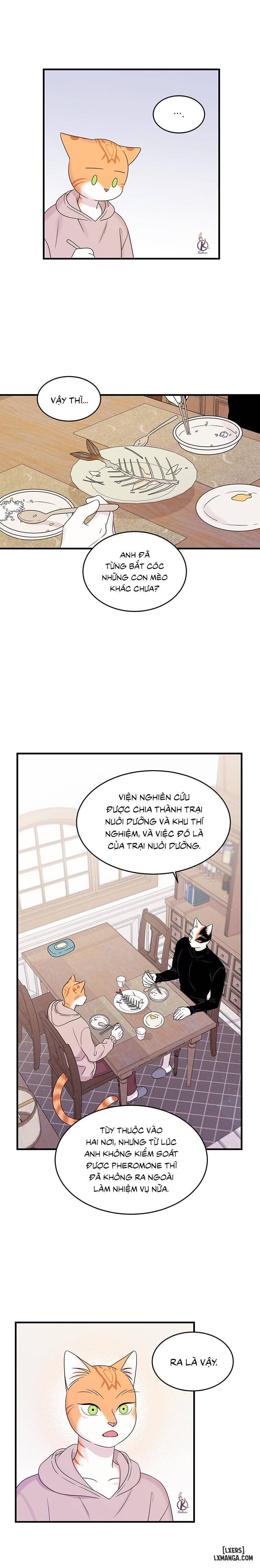 HentaiVN.net - Ảnh 9 - Dự án xanh - Chap 39