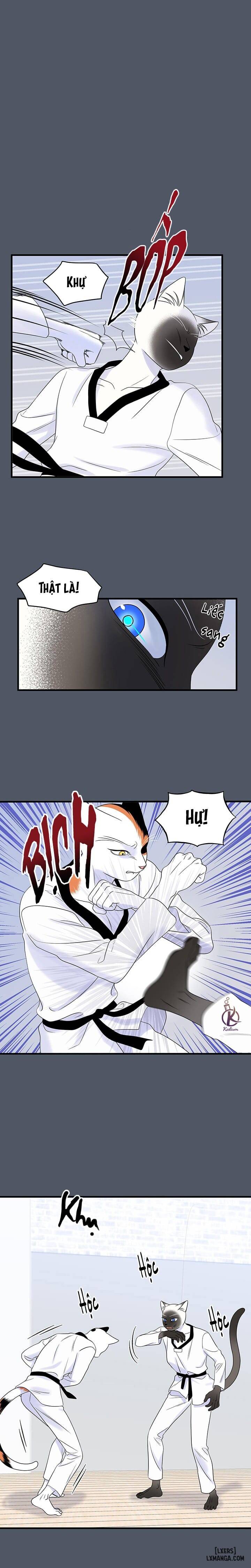 HentaiVN.net - Ảnh 10 - Dự án xanh - Chap 40