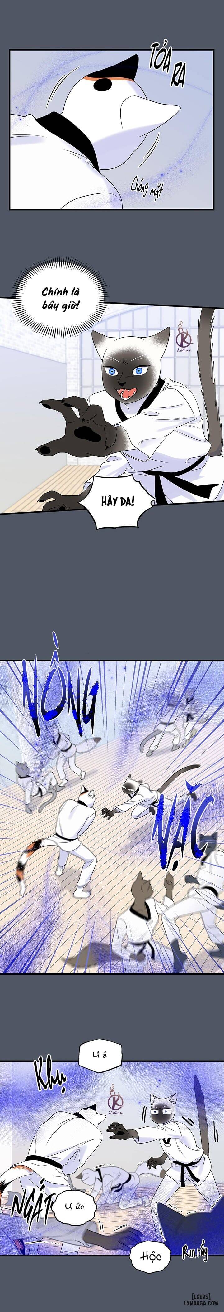 HentaiVN.net - Ảnh 11 - Dự án xanh - Chap 40