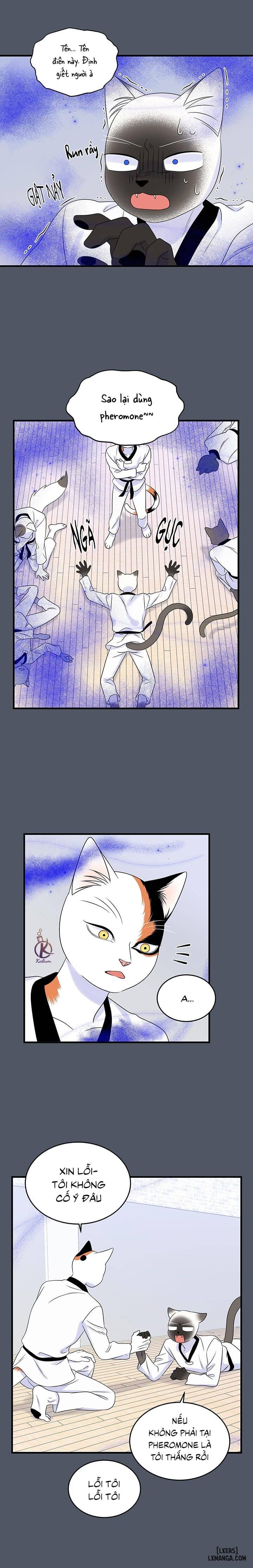 HentaiVN.net - Ảnh 12 - Dự án xanh - Chap 40
