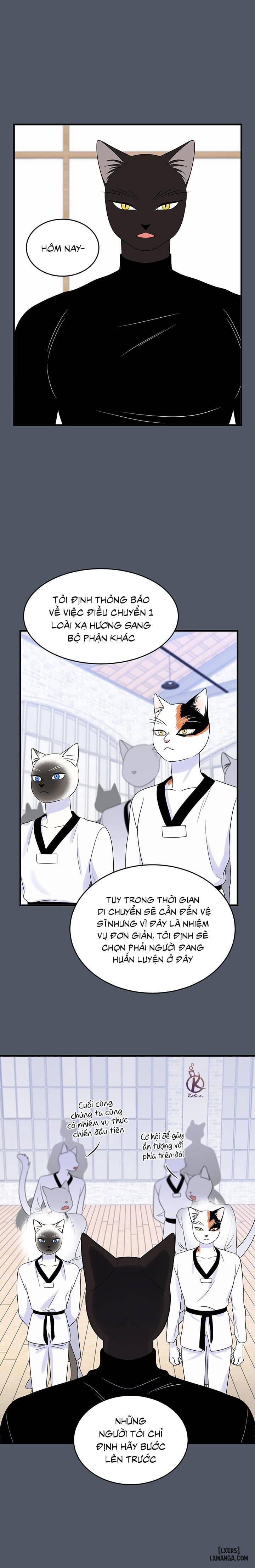 HentaiVN.net - Ảnh 14 - Dự án xanh - Chap 40
