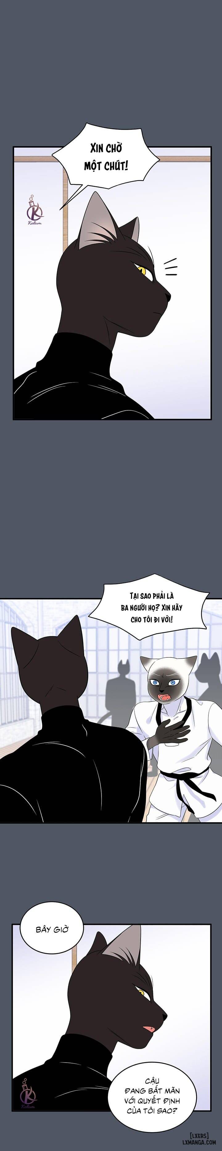 HentaiVN.net - Ảnh 16 - Dự án xanh - Chap 40