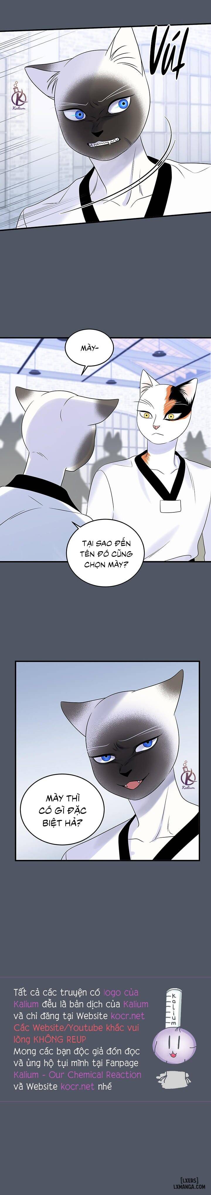 HentaiVN.net - Ảnh 18 - Dự án xanh - Chap 40