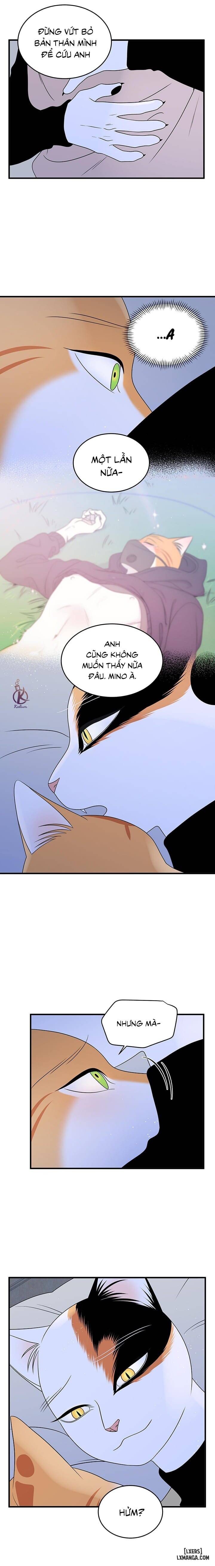 HentaiVN.net - Ảnh 6 - Dự án xanh - Chap 40
