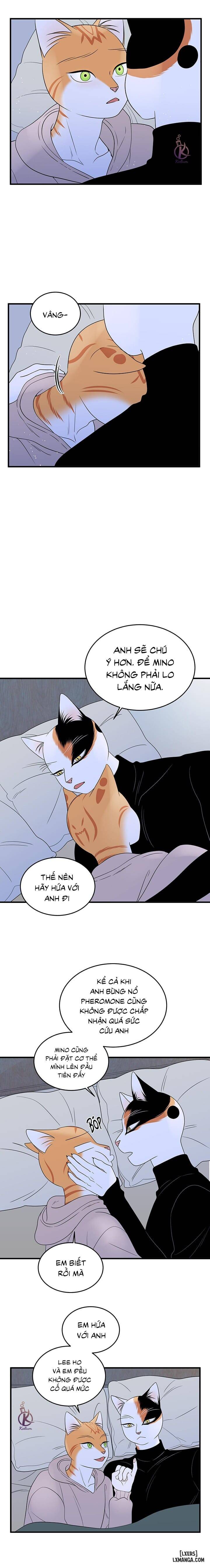 HentaiVN.net - Ảnh 7 - Dự án xanh - Chap 40