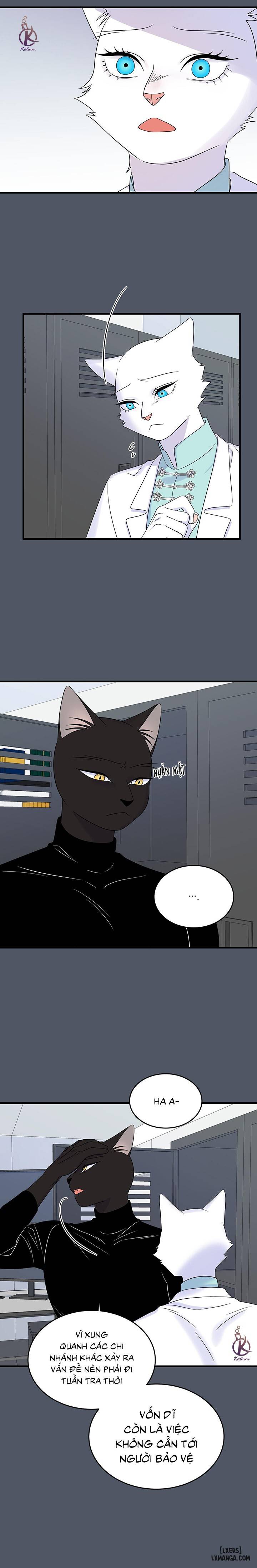HentaiVN.net - Ảnh 14 - Dự án xanh - Chap 41