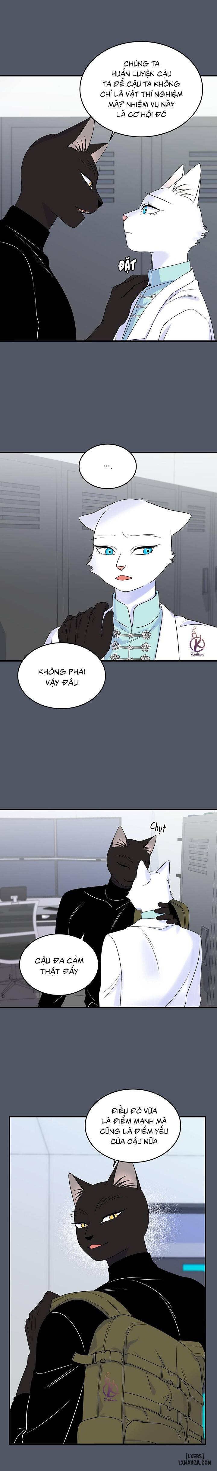 HentaiVN.net - Ảnh 17 - Dự án xanh - Chap 41