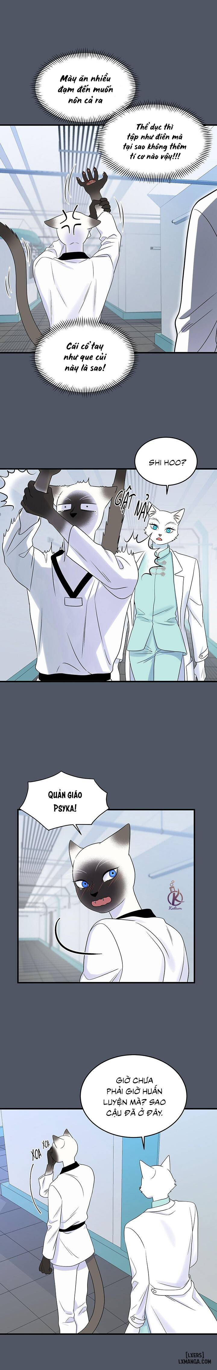HentaiVN.net - Ảnh 5 - Dự án xanh - Chap 41