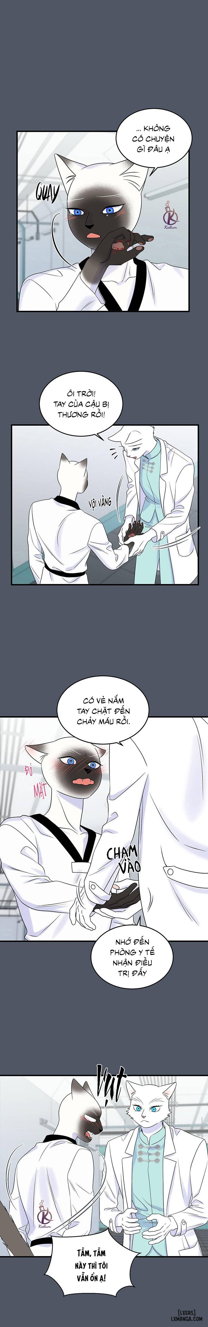 HentaiVN.net - Ảnh 6 - Dự án xanh - Chap 41