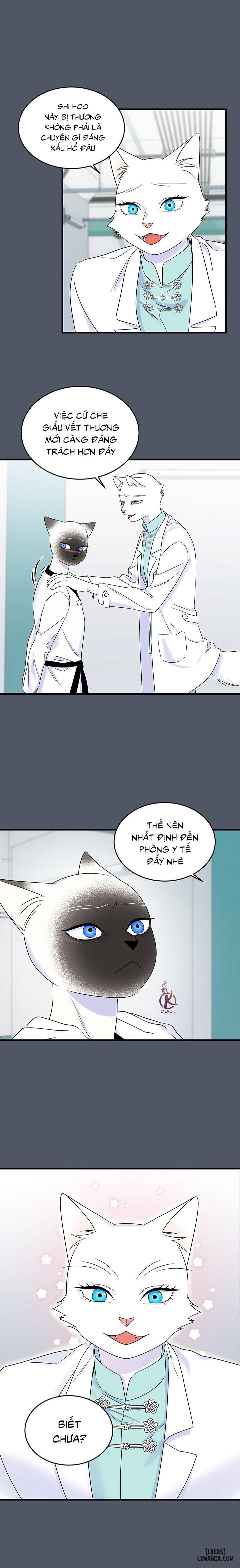 HentaiVN.net - Ảnh 7 - Dự án xanh - Chap 41