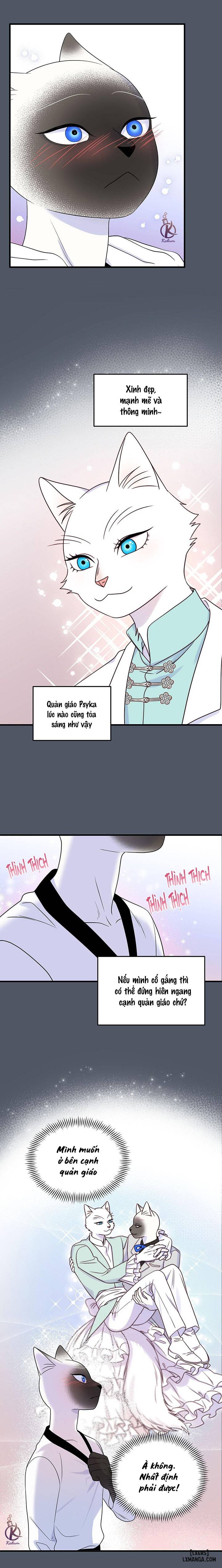 HentaiVN.net - Ảnh 8 - Dự án xanh - Chap 41
