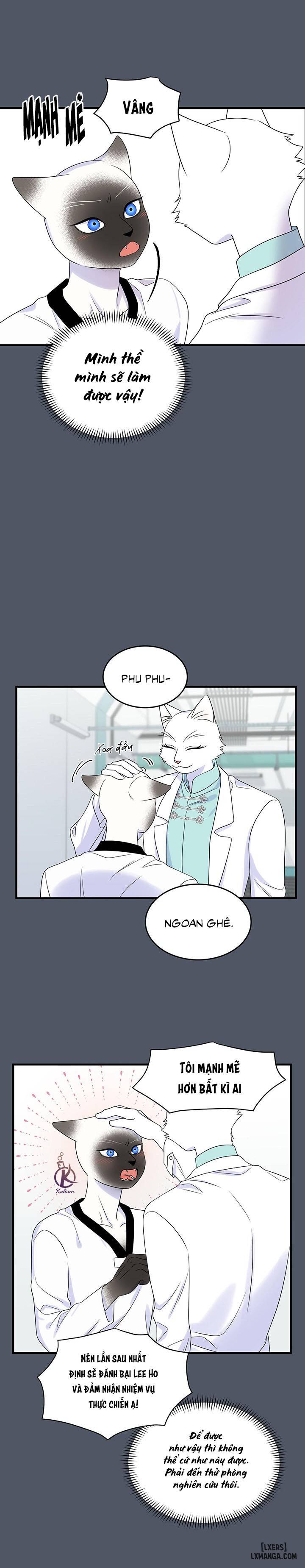 HentaiVN.net - Ảnh 9 - Dự án xanh - Chap 41