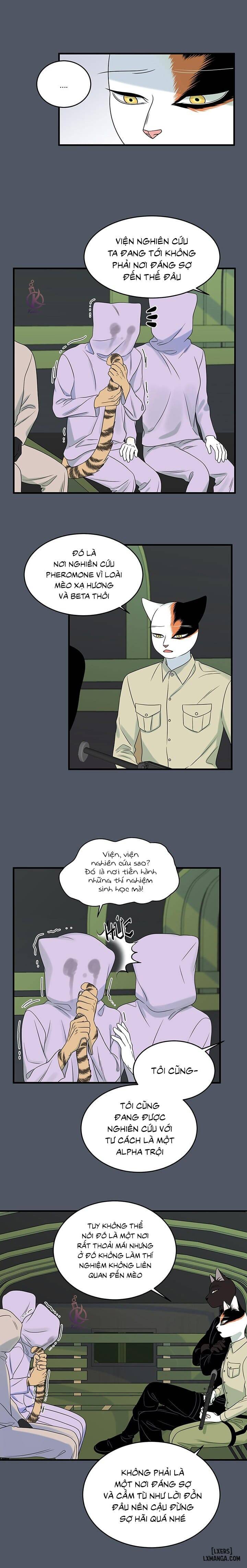 HentaiVN.net - Ảnh 11 - Dự án xanh - Chap 42