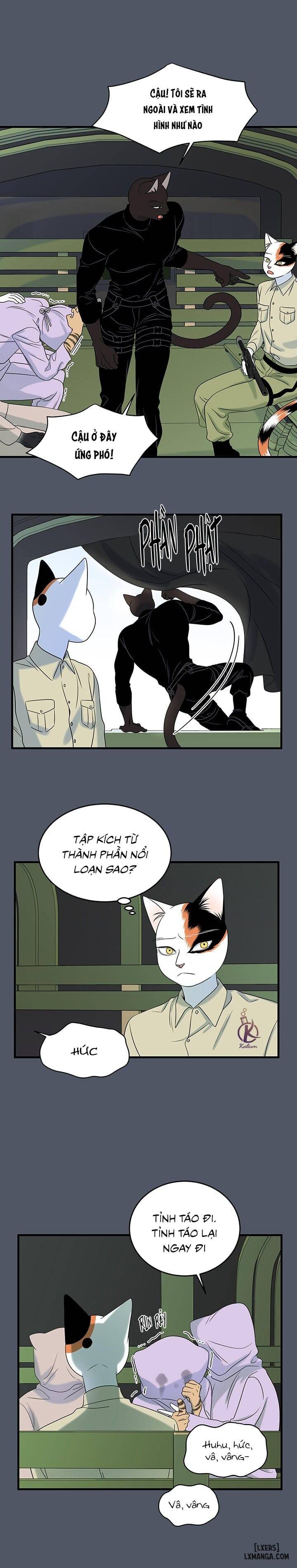 HentaiVN.net - Ảnh 14 - Dự án xanh - Chap 42