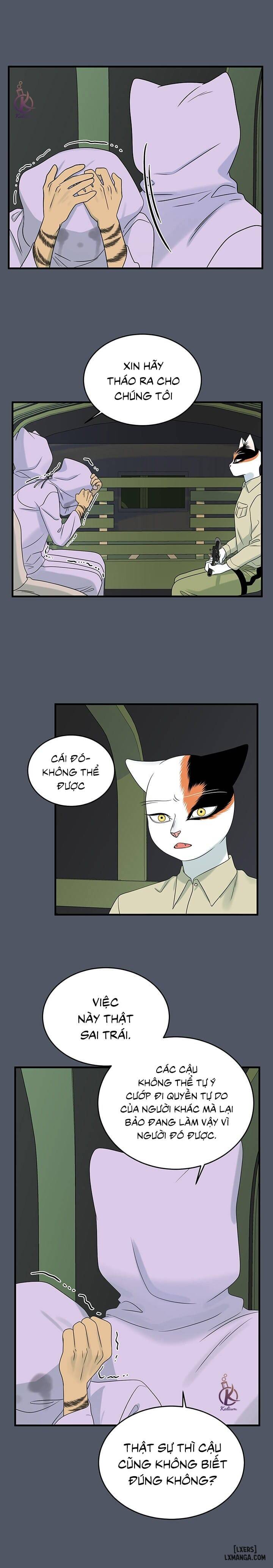 HentaiVN.net - Ảnh 15 - Dự án xanh - Chap 42