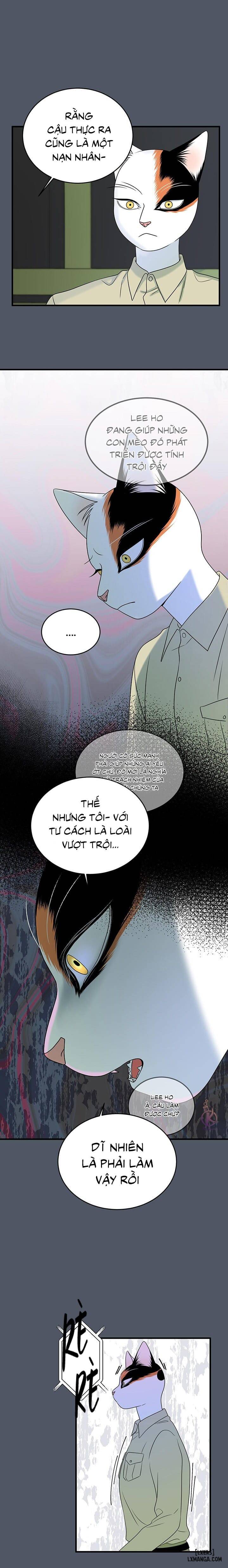 HentaiVN.net - Ảnh 16 - Dự án xanh - Chap 42