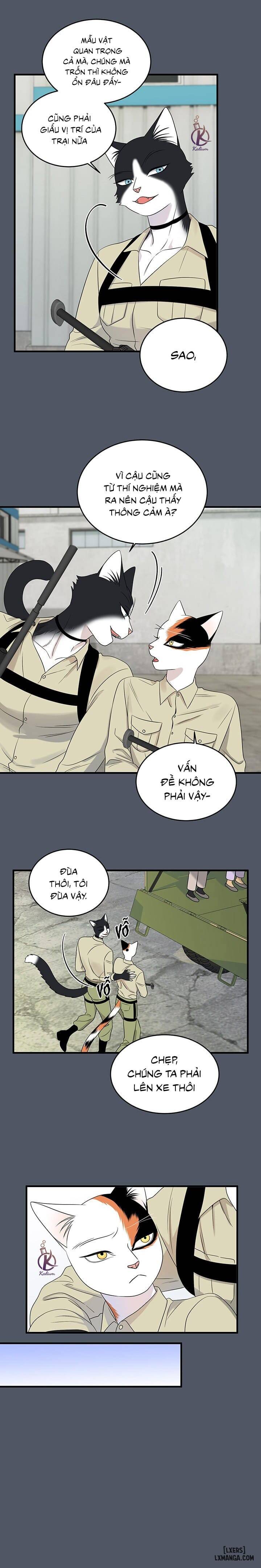 HentaiVN.net - Ảnh 9 - Dự án xanh - Chap 42