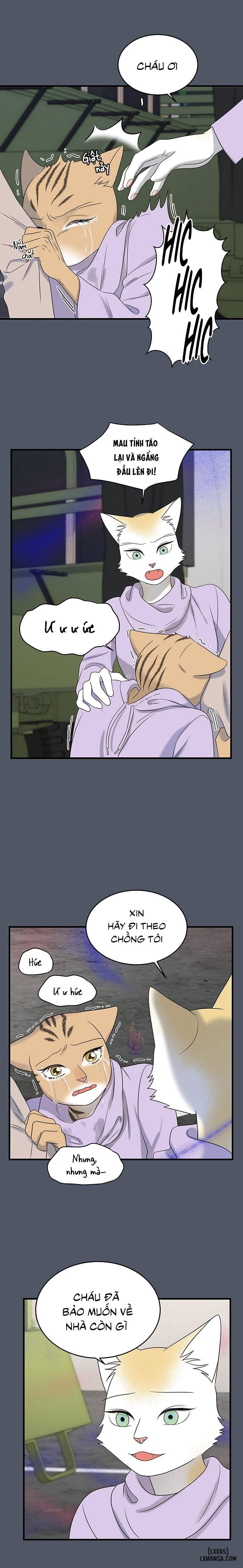 HentaiVN.net - Ảnh 10 - Dự án xanh - Chap 43