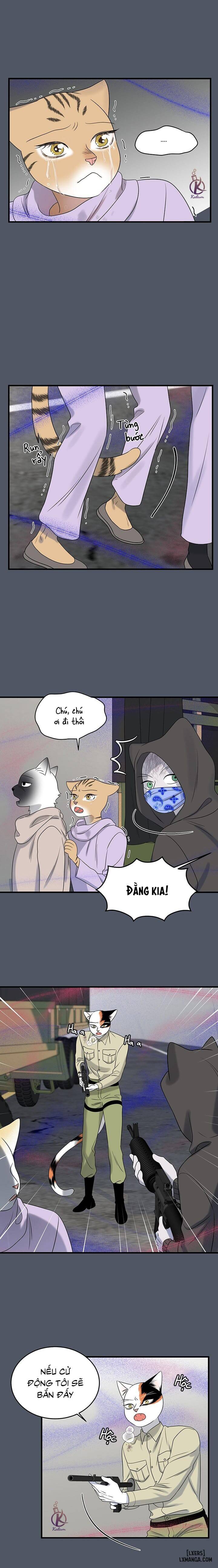HentaiVN.net - Ảnh 11 - Dự án xanh - Chap 43
