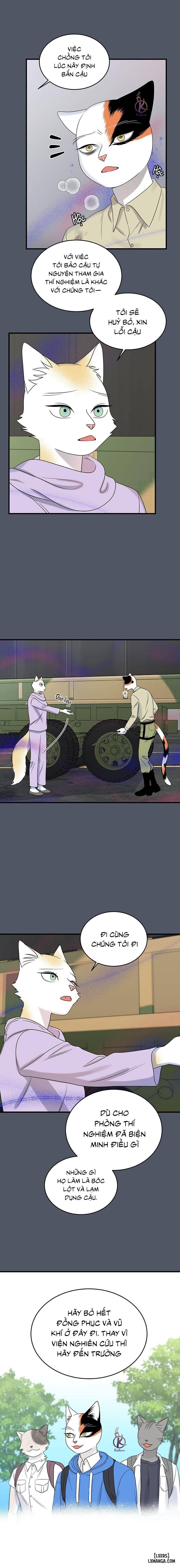 HentaiVN.net - Ảnh 13 - Dự án xanh - Chap 43