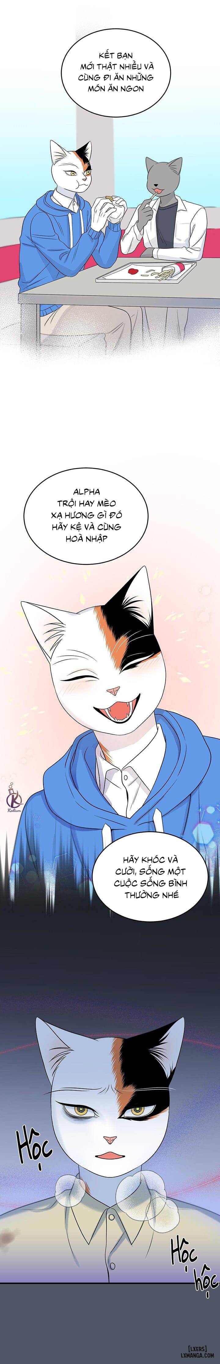 HentaiVN.net - Ảnh 14 - Dự án xanh - Chap 43