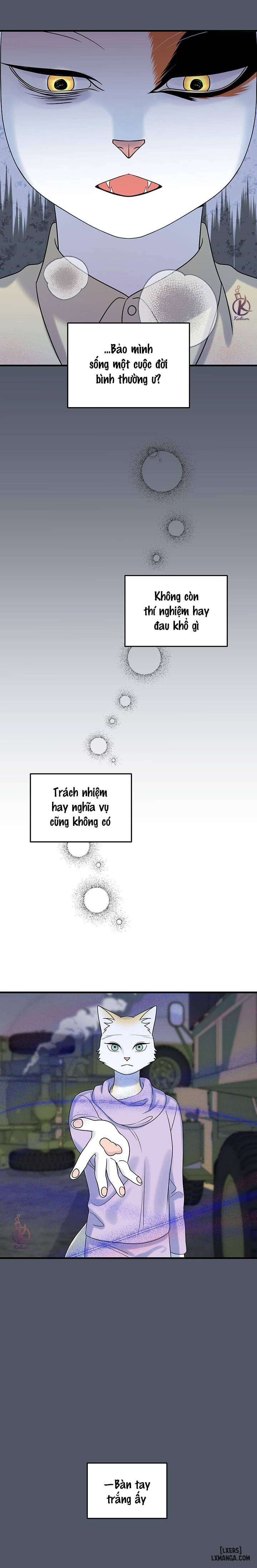 HentaiVN.net - Ảnh 15 - Dự án xanh - Chap 43