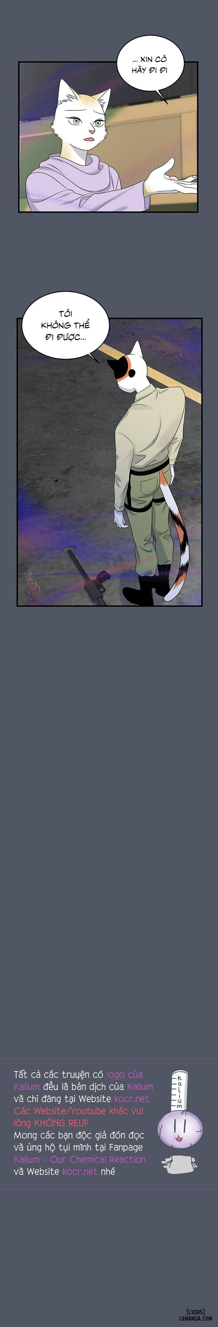 HentaiVN.net - Ảnh 19 - Dự án xanh - Chap 43