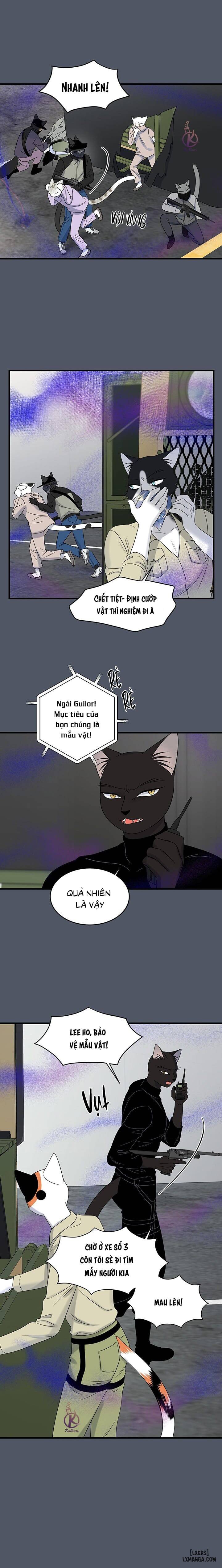 HentaiVN.net - Ảnh 5 - Dự án xanh - Chap 43