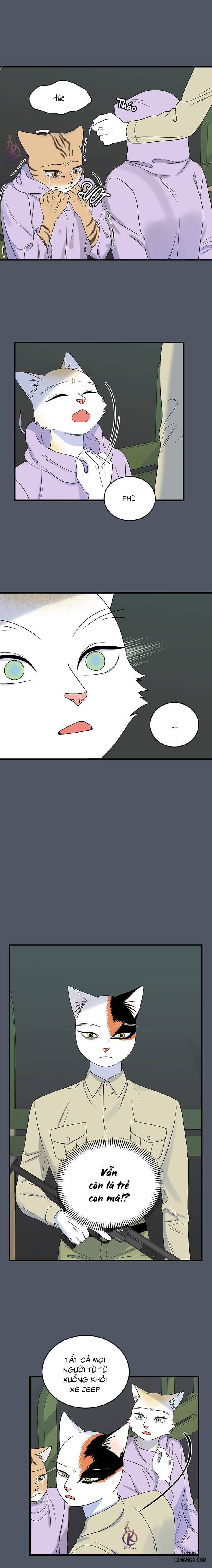 HentaiVN.net - Ảnh 7 - Dự án xanh - Chap 43