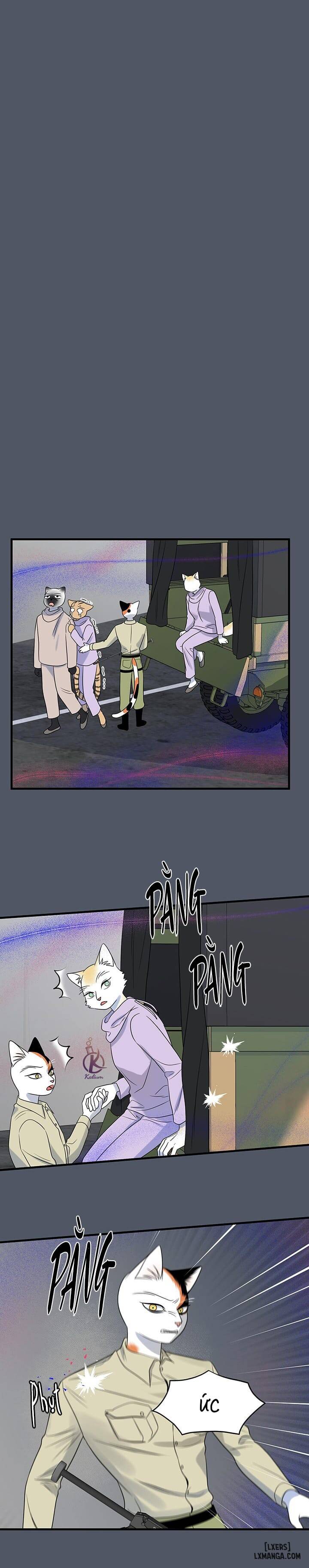 HentaiVN.net - Ảnh 8 - Dự án xanh - Chap 43