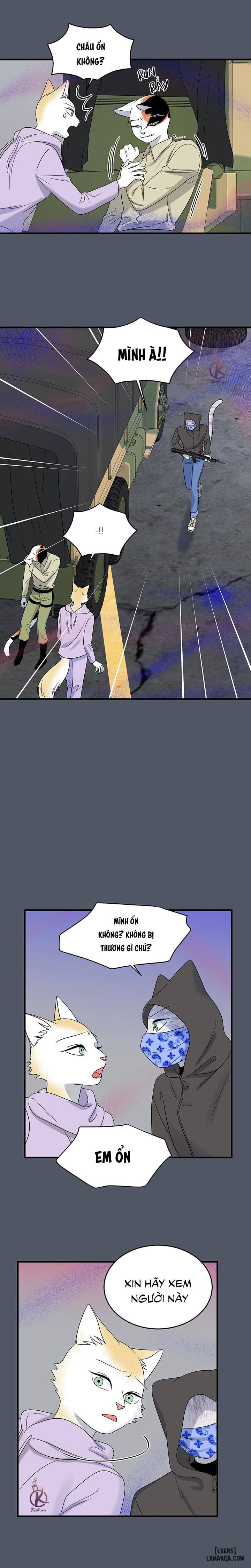 HentaiVN.net - Ảnh 9 - Dự án xanh - Chap 43