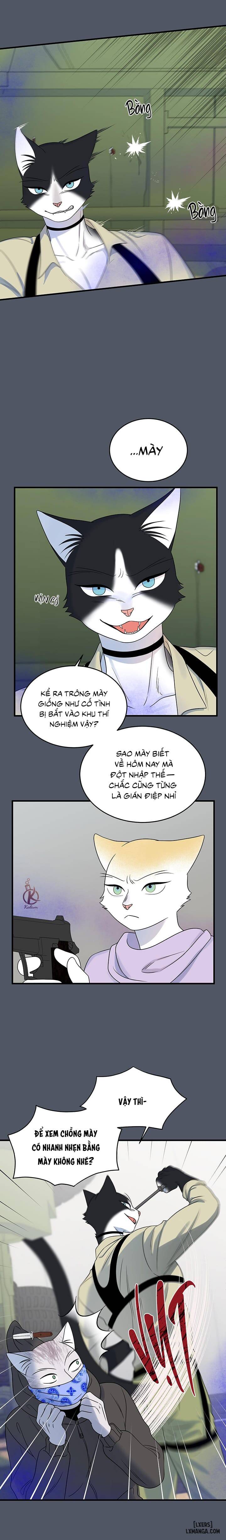 HentaiVN.net - Ảnh 12 - Dự án xanh - Chap 44