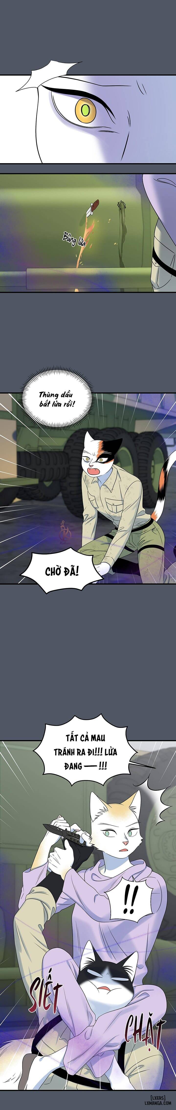 HentaiVN.net - Ảnh 16 - Dự án xanh - Chap 44