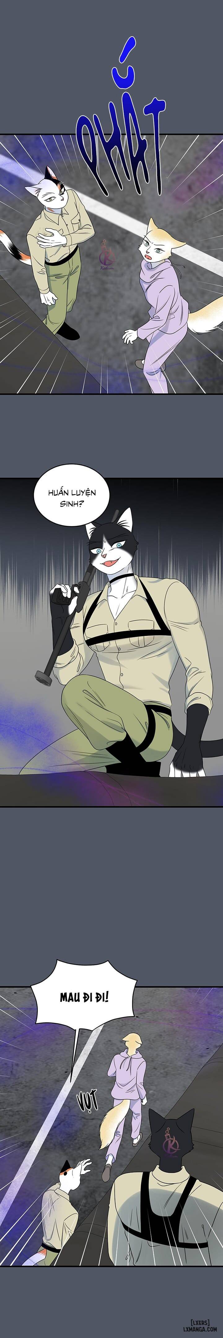 HentaiVN.net - Ảnh 5 - Dự án xanh - Chap 44