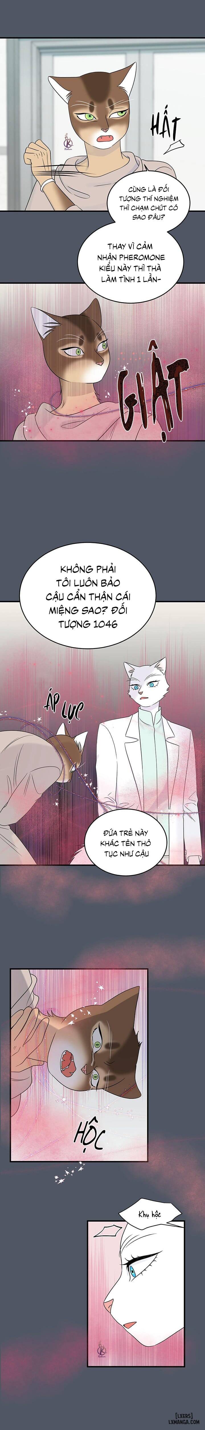HentaiVN.net - Ảnh 13 - Dự án xanh - Chap 45