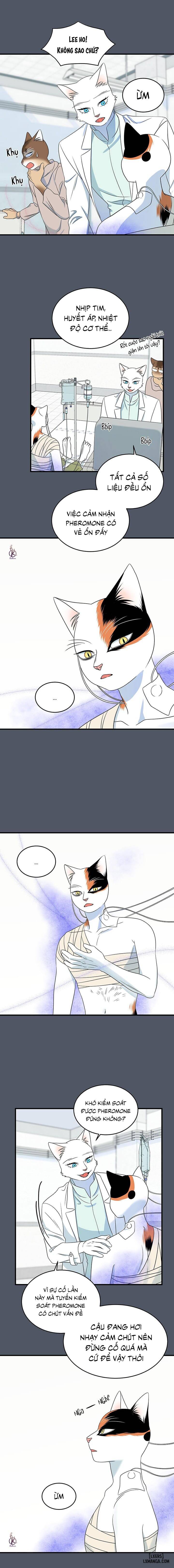 HentaiVN.net - Ảnh 14 - Dự án xanh - Chap 45