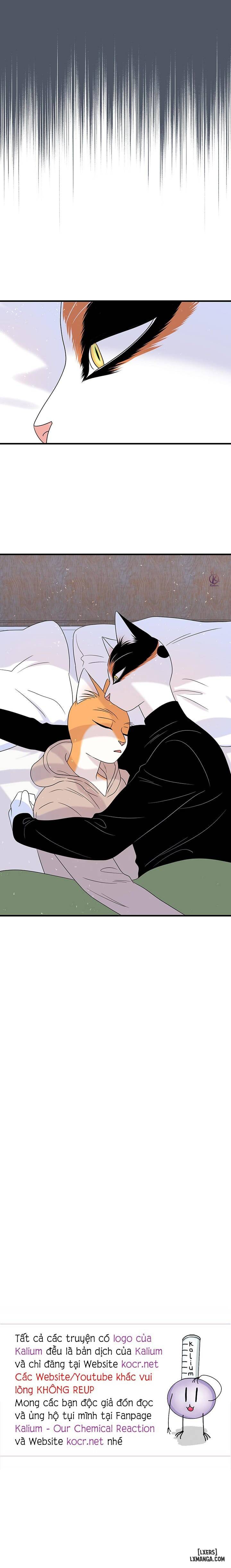 HentaiVN.net - Ảnh 17 - Dự án xanh - Chap 45