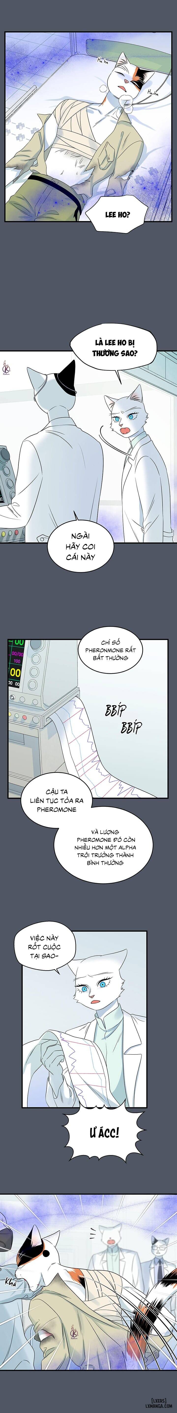 HentaiVN.net - Ảnh 3 - Dự án xanh - Chap 45