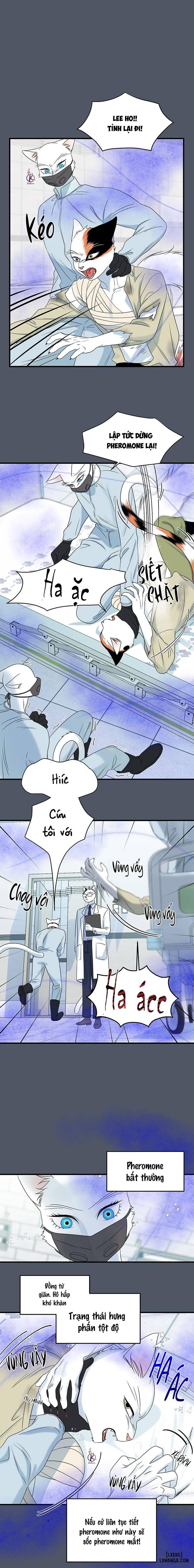 HentaiVN.net - Ảnh 5 - Dự án xanh - Chap 45