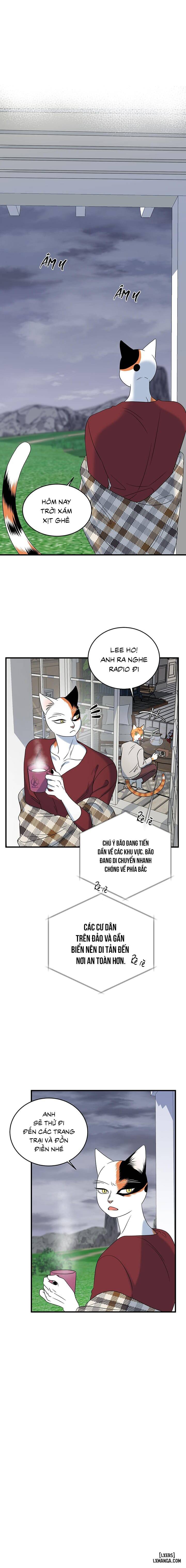 HentaiVN.net - Ảnh 10 - Dự án xanh - Chap 46