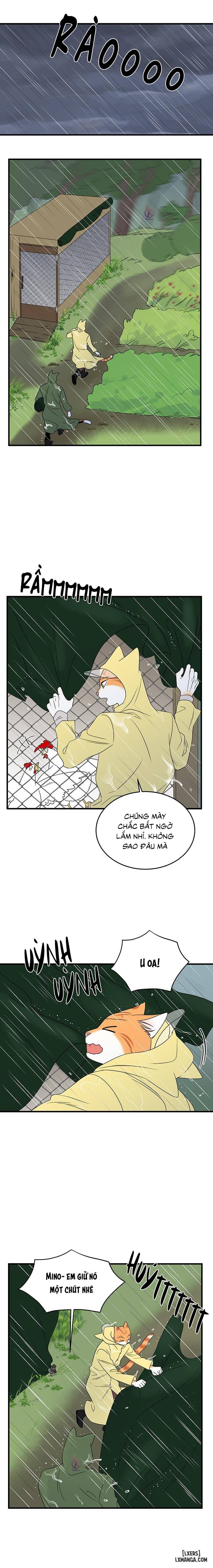 HentaiVN.net - Ảnh 11 - Dự án xanh - Chap 46