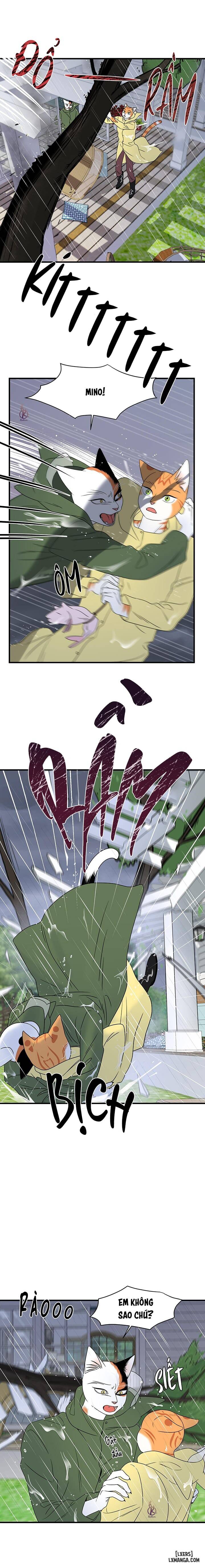 HentaiVN.net - Ảnh 15 - Dự án xanh - Chap 46