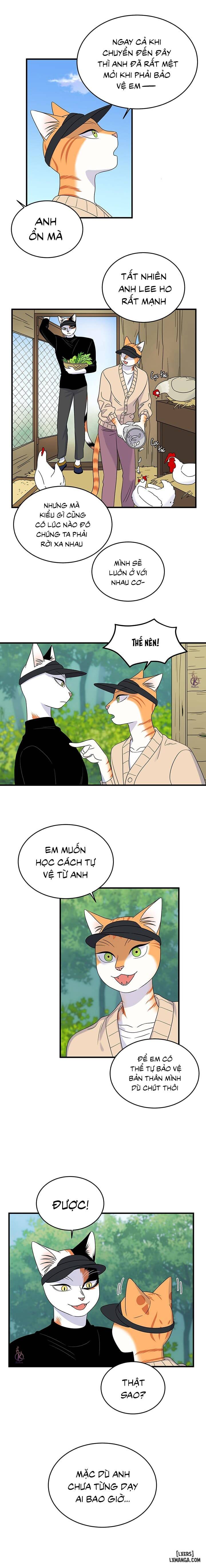 HentaiVN.net - Ảnh 4 - Dự án xanh - Chap 46