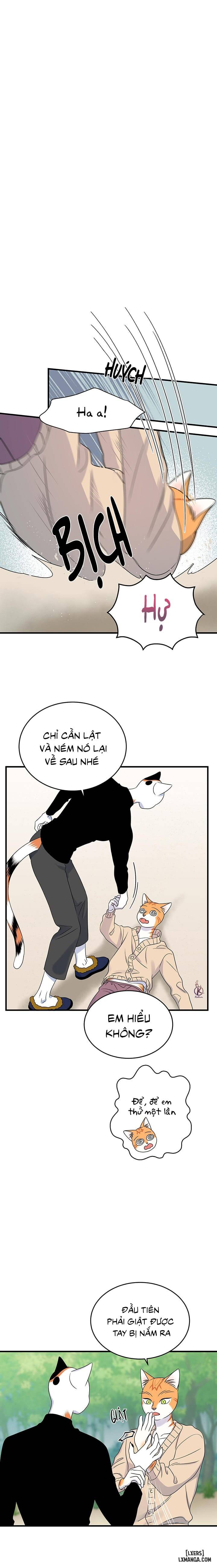 HentaiVN.net - Ảnh 5 - Dự án xanh - Chap 46