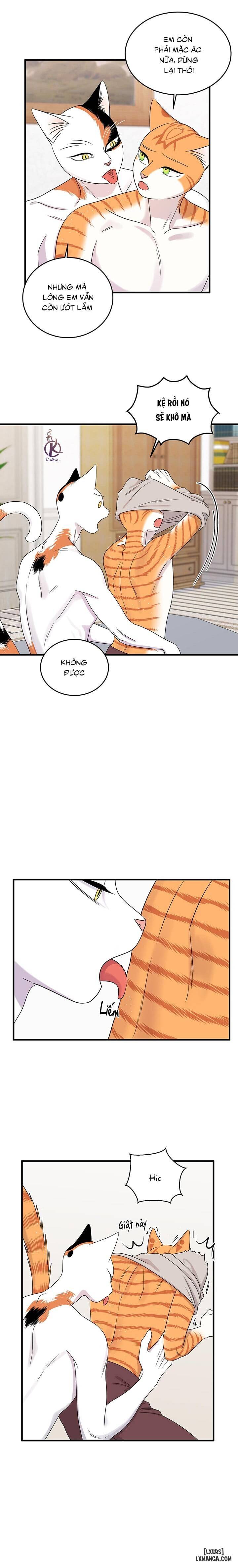 HentaiVN.net - Ảnh 15 - Dự án xanh - Chap 47