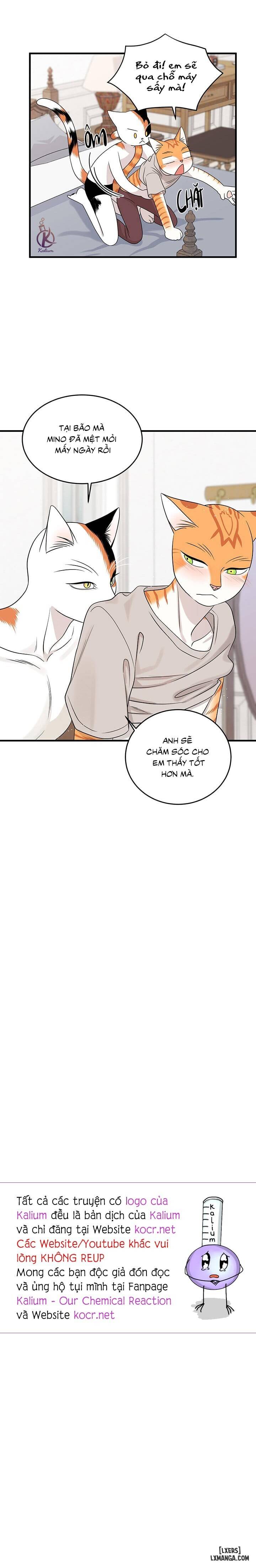 HentaiVN.net - Ảnh 16 - Dự án xanh - Chap 47